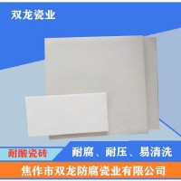 双龙200*200*20 耐酸砖 瓷砖 厂家直供